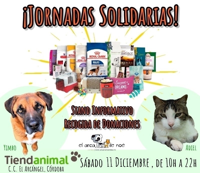 Jornadas Solidarias en TiendAnimal Córdoba (25 de enero) - Arca Noé Córdoba